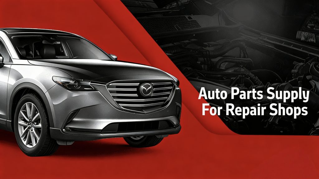auto parts supply for repair shops